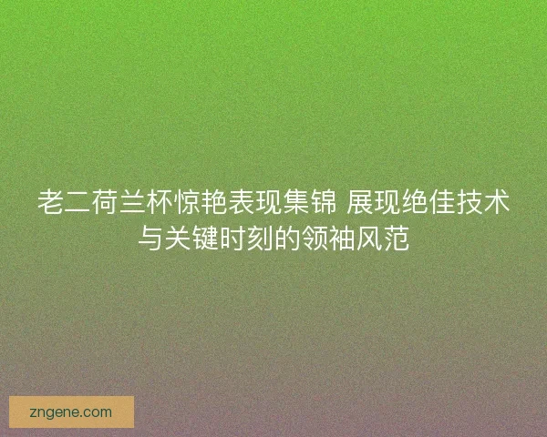 老二荷兰杯惊艳表现集锦 展现绝佳技术与关键时刻的领袖风范 老二荷兰杯惊艳表现集锦 展现绝佳技术与关键时刻的领袖风范